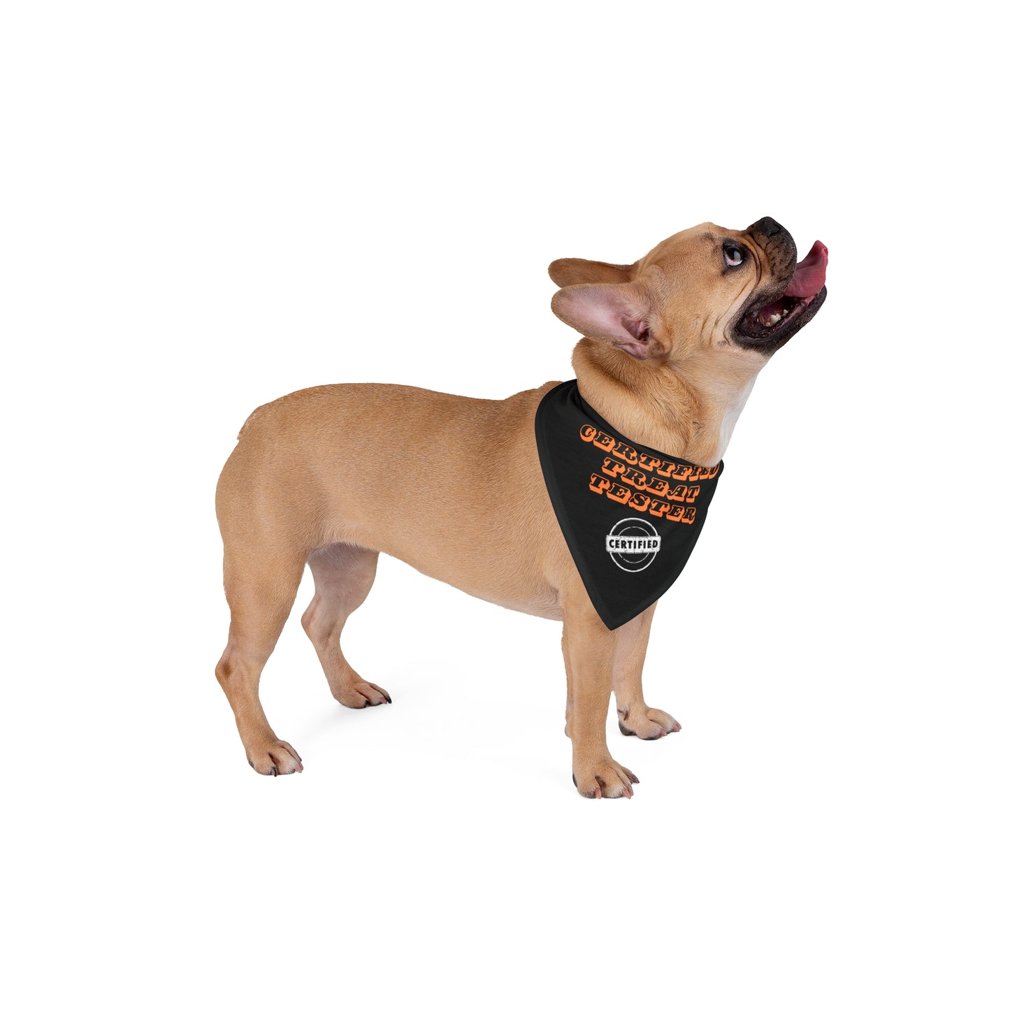 Pet "Certified Treat Tester" Bandana